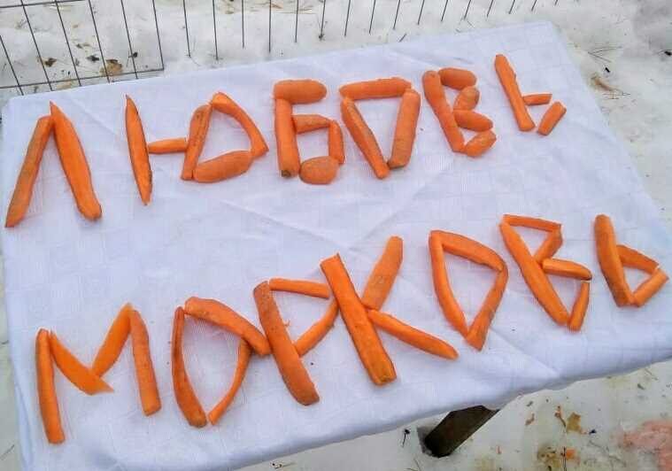 Секреты успешной SMM-стратегии «Любовь-Морковь»: