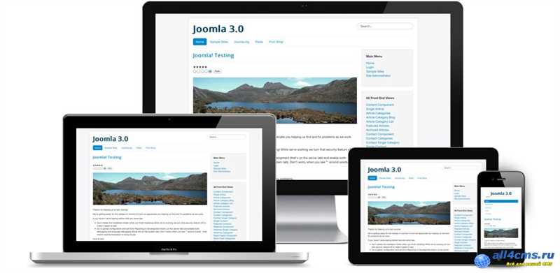 Основы поискового продвижения сайтов на CMS Joomla